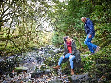 Surrounded by rivers and forest, beddgelert campsite is a scenic destination to explore.
