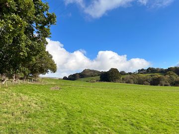 Our fields