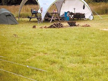 Grass pitch