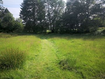 The path into the site