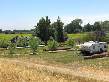 Vineyards next door