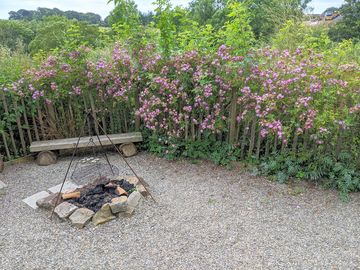 Firepit and seating area