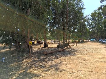 Pitch area