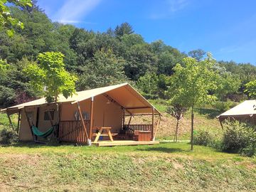 Safari tent surrounded by greenery