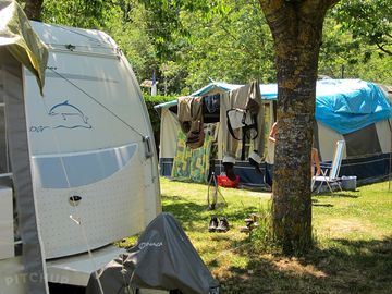 Pitch under the shade of trees