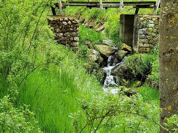 Stream at the campsite