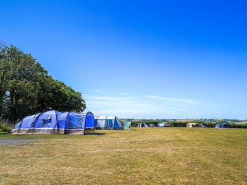 Electric grass pitch