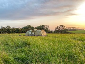 Grass tent pitch in the meadow