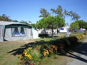 Spacious pitches with flowers all around