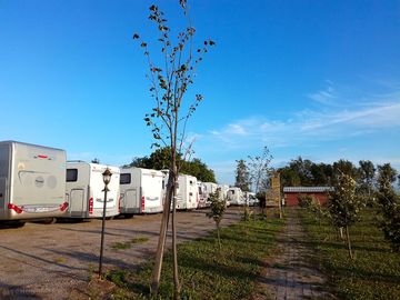 Pitches next to the orchard
