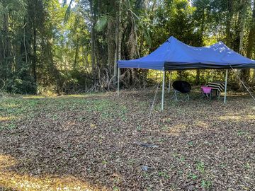 Pitches shaded by trees