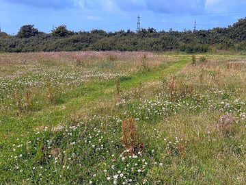 Mowed paths through meadow to grass pitch