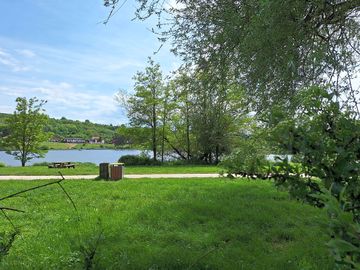 Grass pitches