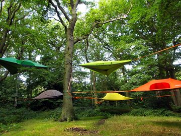 Suspended tents in the trees