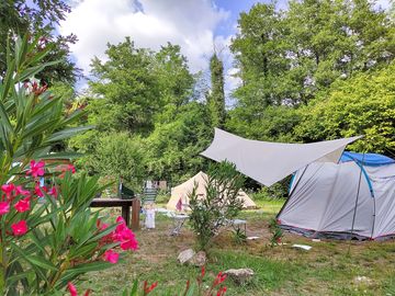 Tent pitches