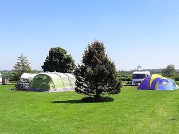Grass pitches