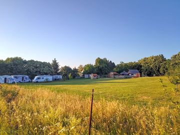 Tree-sheltered pitches