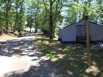 Pitches are spacious and can be shaded or under the sun