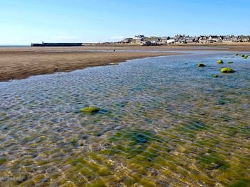 The local seaside
