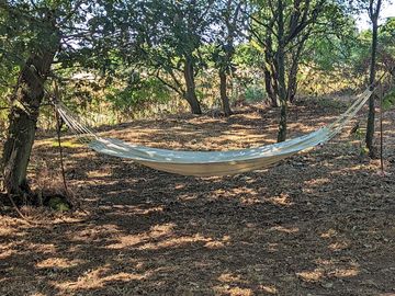 Traditional canvas hammock