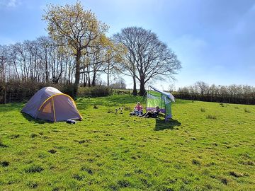 Camping pitch backed by trees