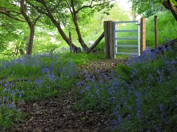 Footpaths along the camping area