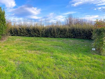Spacious marked-out pitches