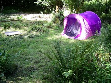 One of the pitches