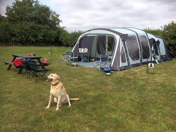 Dogs welcome