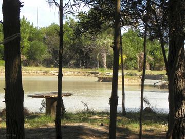 View from the site