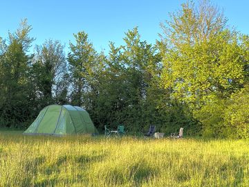 Tent in meadow at Prime Farm