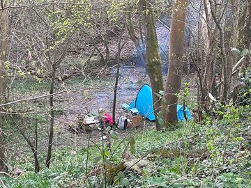 Woodland pitch 20