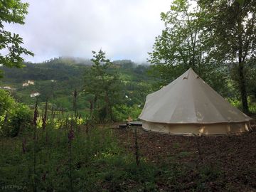 Around the site
