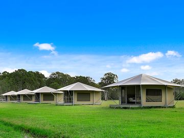 Paperbark safari tents