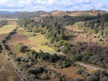 The glen where the lodges are situated