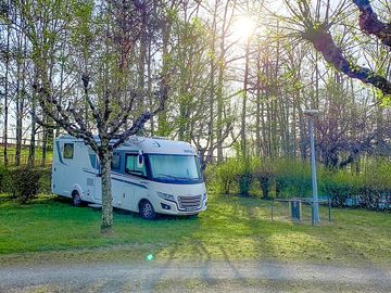 Pitch under the trees