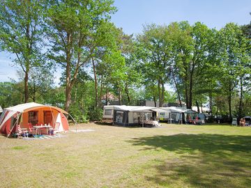 Pitches shaded by trees