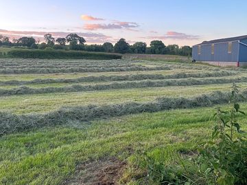Camping pitches at tyn-y-cae