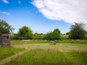 Barn owl pitch view