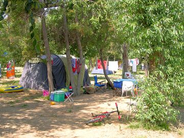 Shaded tent pitches