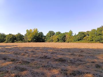 Spacious pitches