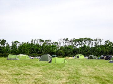 Tent field