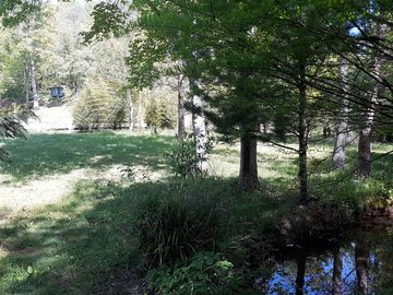 Grassy field for groups