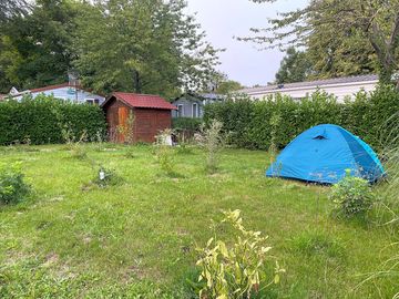 Tent pitches shaded by trees