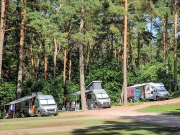 Grass pitches in the wood