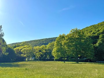 Meadow for relaxing