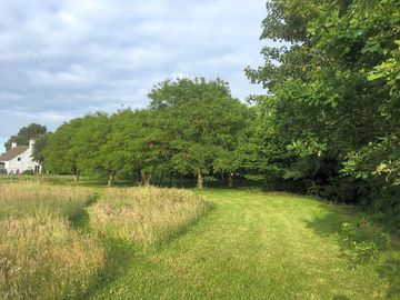 Field pitch - orchard view