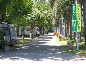 Shaded avenue