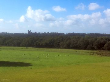 Field with view to penrhyn castle