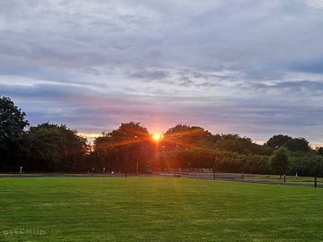 Sunset over the trees